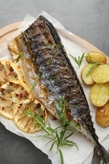 Tasty roasted mackerel with spices and potatoes on grey table, top view. Homemade seafood dish
