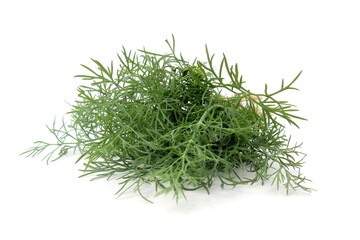 There is a small pile of fresh dill on a white background.