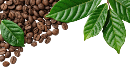Coffee beans and leaves on black background (3)