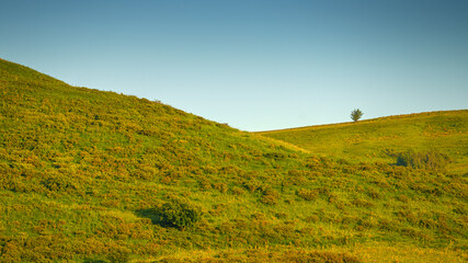 A panoramic aerial view of the Berezovsky gorge covered with dense vegetation, at daytime, without people, Kislovodsk, Stavropol Krai, Russia