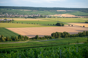 Fototapeta premium Aerial panoramic view on champagne vineyards and village Hautvillers near Epernay, Champange, France