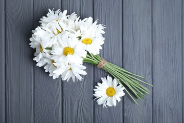 Obraz premium Bouquet of beautiful chamomile flowers on grey wooden table, top view