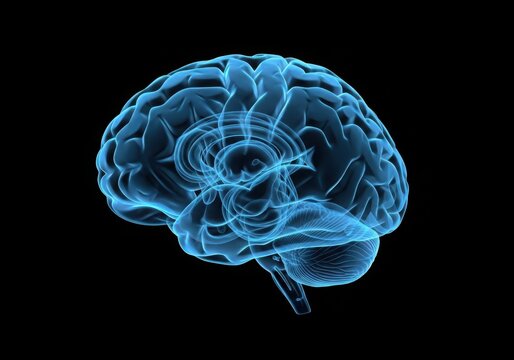 3d rendering of a human brain with glowing blue light