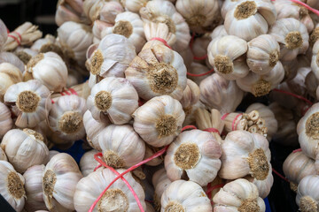New harvest of fresh organic aromatic violet garlic on farmers market in small Piolenc village, Vaucluse, Provence, France