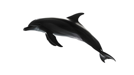 Obraz premium Graceful dolphin leaping from dark ocean depths, Transparent Background
