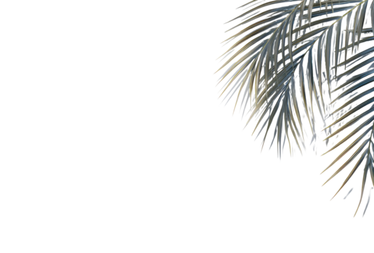 Close-up of stylized palm fronds, light gray and gold, against a black background - Powered by Adobe