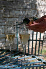 Drinking of sparkling white wine with bubbles champagne in sunny garden with old iron furniture on French village in Cote des Bar, Champagne region, France in summer
