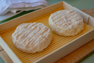 French cheeses collection, soft round white Saint-Felicien cow's milk cheese with white mold from Rhone-Alpes region of France