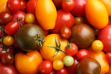 Different ripe juicy tomatoes as background, closeup