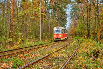 Vintage Tram in Pushcha-Vodytsia Autumn Forest