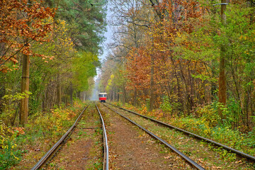 Vintage Tram in Pushcha-Vodytsia Autumn Forest