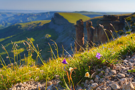 A panoramic aerial view of the Two Monks rock from behind a hill covered with meadow grass and flowers, on Bolshoy Bermamyt plateau, North Caucasus, without people, at daytime, Stavropol Krai, Russia