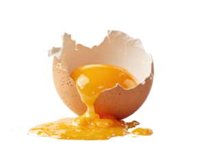 Broken egg with yolk spilling.  A cracked egg shell, light brown, cradles a bright yellow yolk.  The yolk is partially out, dripping