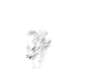 Abstract grayscale splotch, textured and irregular, against a black background