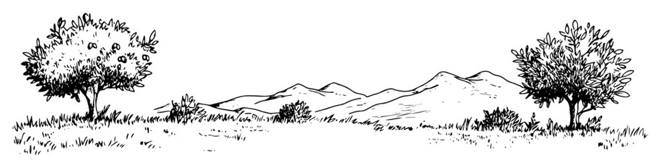 peaceful landscape with trees and mountains in outline style