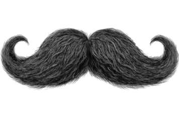 A detailed illustration of a thick, dark gray handlebar mustache.  Curved ends and textured, fuzzy hair-like structure.  Dark background isolates the mustache