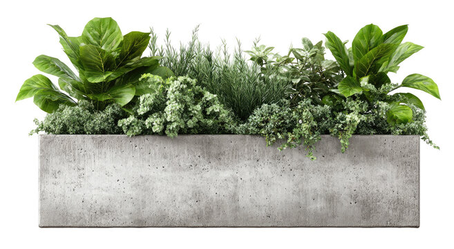 Gray concrete planter box filled with greenery