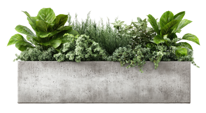 Gray concrete planter box filled with greenery