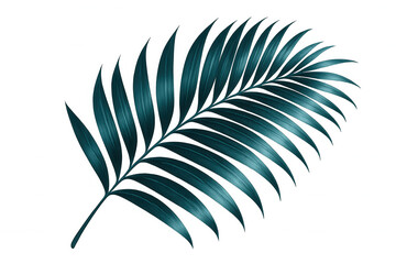 Fototapeta premium Tropical design element featuring a single, isolated palm leaf with a transparent background, perfect for summer or jungle-themed projects