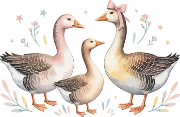 Delightful watercolor illustration of geese .