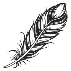 Obraz premium A detailed illustration of a feather with intricate barbs and a prominent quill in black and white style vector illustration