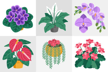 Orchid flowers and blooming houseplants vector set, tropical decorative illustration, colorful blossoms and greenery, exotic botanical art, natural garden inspiration, indoor decor