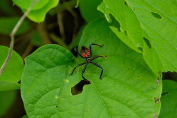 Cuautitl&aacute;n de Garc&iacute;a Barrag&aacute;n