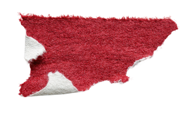 Red paper fragment with white markings