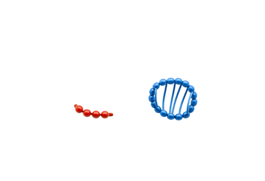 Molecular Structures Ribosome and Polypeptide Chain