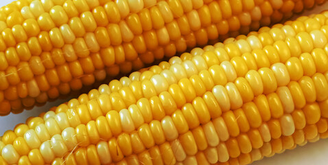 Close up of boiled corn