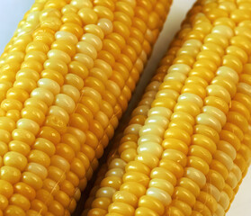 Close up of boiled corn