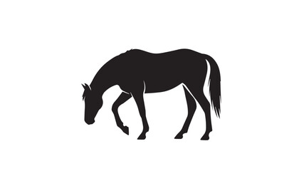 Fototapeta premium Elegant horse silhouette in dynamic pose