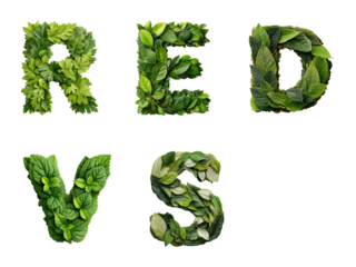 Nature vs red green leaf typography graphic design PNG set, cut out, isolated on transparent background