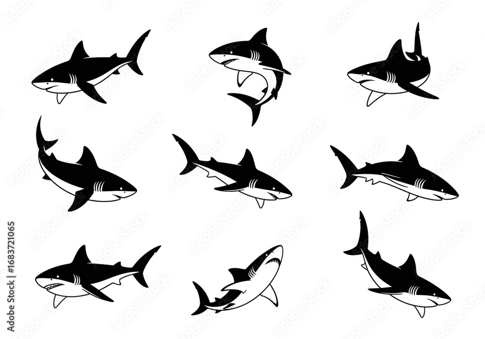 Poster nine shark illustrations displayed in a grid pattern with varying poses and orientations shown here