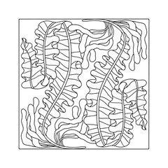 Art nouveau style seaweed hand drawn monochrome easy coloring book page vector illustration