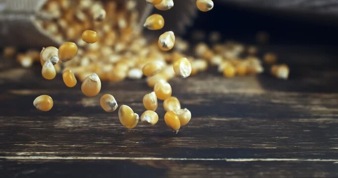 Super slow motion close-up of raw corn kernels and maize grains falling onto a rustic wooden table. High speed macro footage at 1000fps showing texture, golden color and dynamic movement