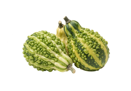 Three Decorative Gourds, Green and Yellow, Isolated on White