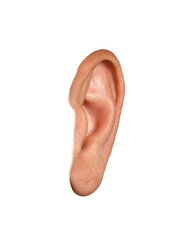 Side View of Isolated Human Ear PNG – Profile Anatomy and Hearing Detail on Transparent Background