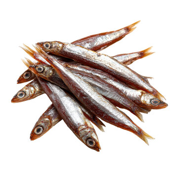 tiny fish are arranged, isolated on transparent background