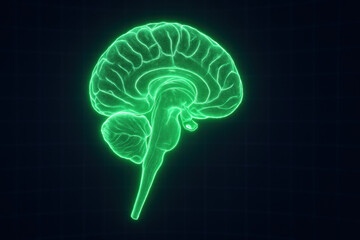 Green Glowing Brain Illustration on Dark Background for Neuroscience or Medical Concepts