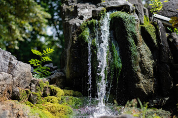 Fototapeta premium Waterfall cascading over moss-covered rocks in a serene natural environment with lush greenery