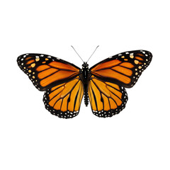 Monarch butterfly with orange black white wings isolated on a transparent background image