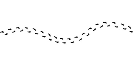 Wet or mud bunny feet prints. Rabbit paw silhouette stamps. Trace of steps of running or walking hare isolated on white background. Vector graphic illustration.