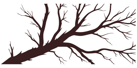 Brown tree branch silhouette with detailed twigs extending across white background. Ideal for nature, seasonal, or botanical design projects. Perfect for logos, prints, and digital illustrations.