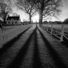 A path of long shadows stretches through a park-like setting.  A white picket fence runs alongside. A small, light-colored house sits in the background