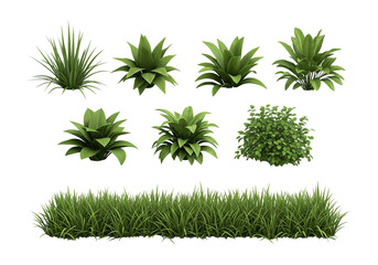 Lush Garden Hedges: Vibrant Plant Collection