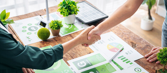 Business professionals shake hands forging environmental sustainability partnership for green...