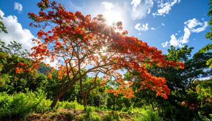 Vibrant flowering trees under a bright sky