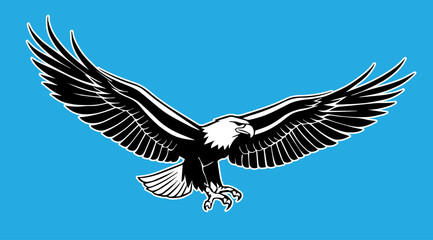 Obraz premium eagle in flight