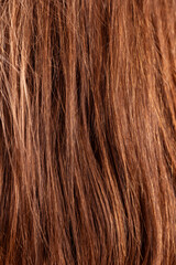 Close-up of healthy brown hair with shine and texture